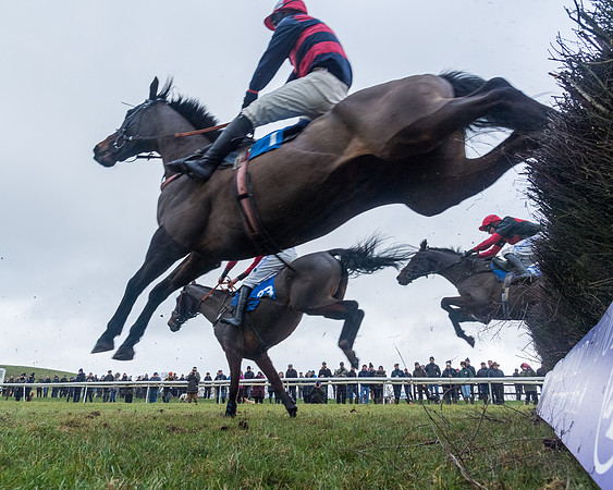 Race 5 - Jockey Club and ROR veteran Horse conditions Race. Division 1 - (105 of 171)