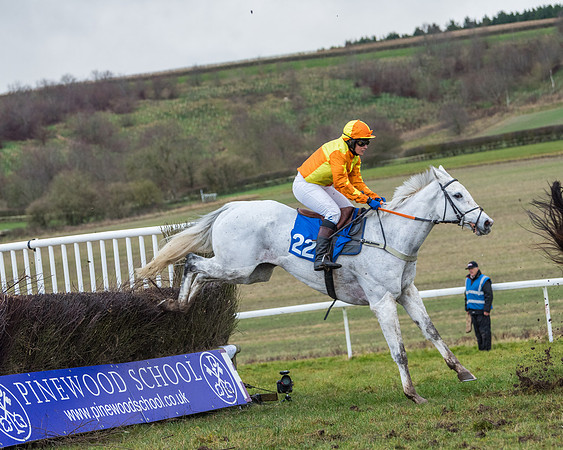 Race 5 - Jockey Club and ROR veteran Horse conditions Race. Division 1 - (98 of 171)