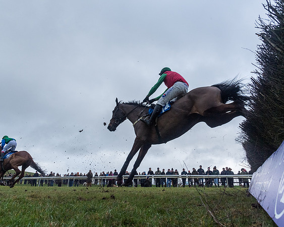 Race 5 - Jockey Club and ROR veteran Horse conditions Race. Division 1 - (95 of 171)