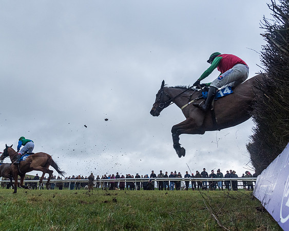 Race 5 - Jockey Club and ROR veteran Horse conditions Race. Division 1 - (93 of 171)