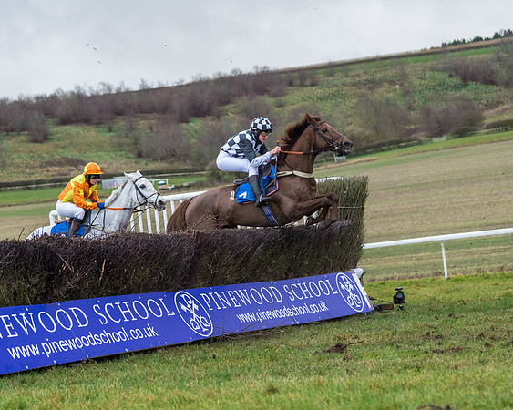 Race 5 - Jockey Club and ROR veteran Horse conditions Race. Division 1 - (89 of 171)