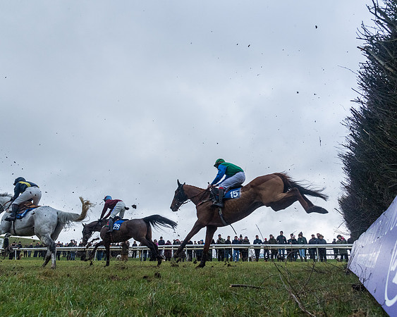 Race 5 - Jockey Club and ROR veteran Horse conditions Race. Division 1 - (88 of 171)