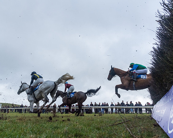 Race 5 - Jockey Club and ROR veteran Horse conditions Race. Division 1 - (87 of 171)