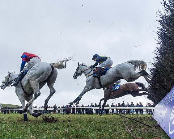 Race 5 - Jockey Club and ROR veteran Horse conditions Race. Division 1 - (85 of 171)