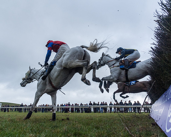 Race 5 - Jockey Club and ROR veteran Horse conditions Race. Division 1 - (84 of 171)