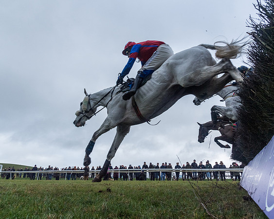 Race 5 - Jockey Club and ROR veteran Horse conditions Race. Division 1 - (83 of 171)