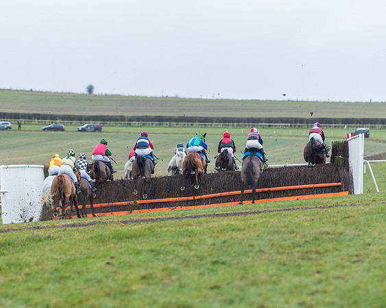 Race 5 - Jockey Club and ROR veteran Horse conditions Race. Division 1 - (61 of 171)