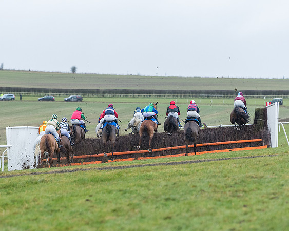 Race 5 - Jockey Club and ROR veteran Horse conditions Race. Division 1 - (60 of 171)