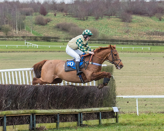 Race 5 - Jockey Club and ROR veteran Horse conditions Race. Division 1 - (55 of 171)