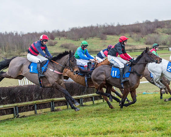Race 5 - Jockey Club and ROR veteran Horse conditions Race. Division 1 - (53 of 171)