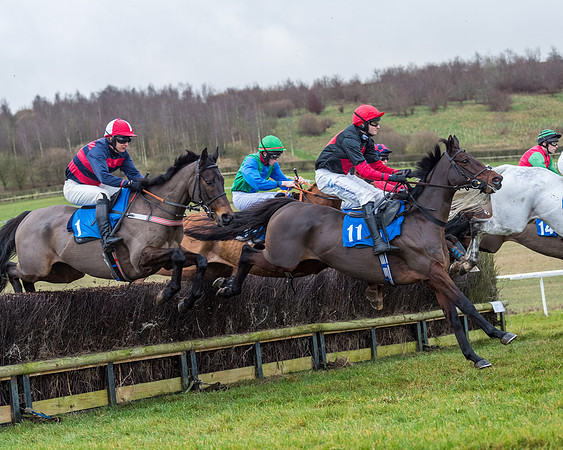 Race 5 - Jockey Club and ROR veteran Horse conditions Race. Division 1 - (51 of 171)