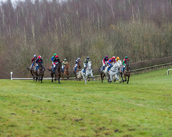 Race 5 - Jockey Club and ROR veteran Horse conditions Race. Division 1 - (44 of 171)