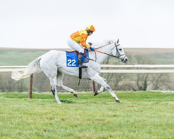 Race 5 - Jockey Club and ROR veteran Horse conditions Race. Division 1 - (31 of 171)