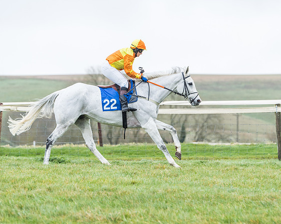 Race 5 - Jockey Club and ROR veteran Horse conditions Race. Division 1 - (32 of 171)