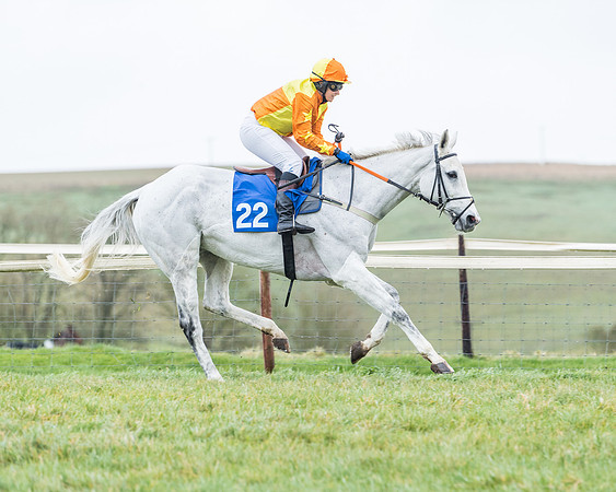Race 5 - Jockey Club and ROR veteran Horse conditions Race. Division 1 - (30 of 171)