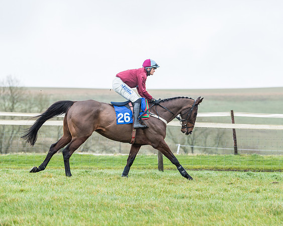 Race 5 - Jockey Club and ROR veteran Horse conditions Race. Division 1 - (29 of 171)