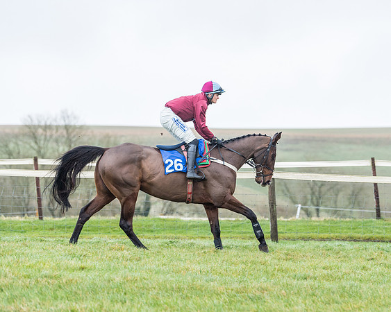 Race 5 - Jockey Club and ROR veteran Horse conditions Race. Division 1 - (28 of 171)