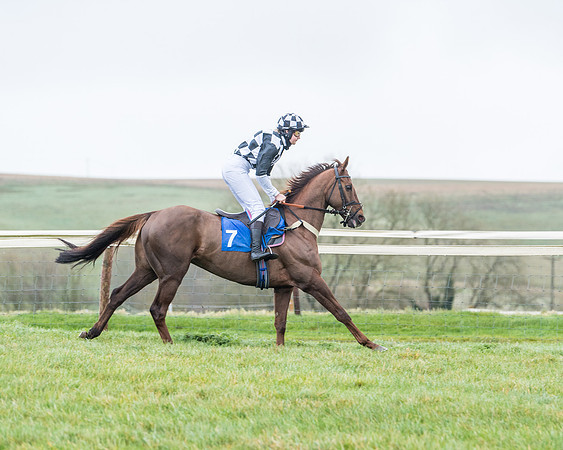 Race 5 - Jockey Club and ROR veteran Horse conditions Race. Division 1 - (26 of 171)