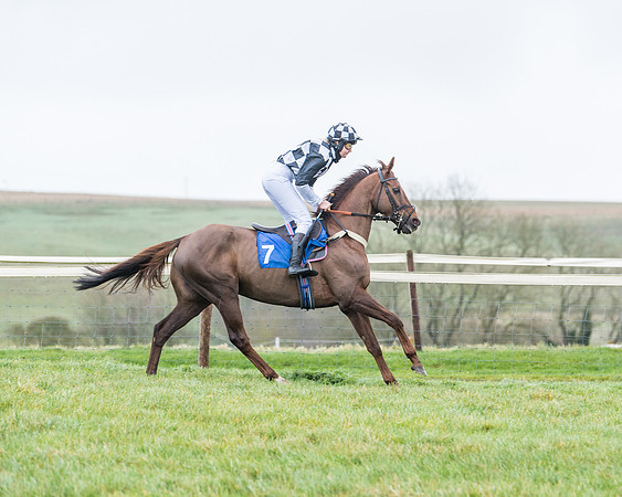 Race 5 - Jockey Club and ROR veteran Horse conditions Race. Division 1 - (25 of 171)