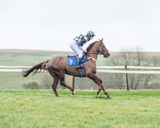 Race 5 - Jockey Club and ROR veteran Horse conditions Race. Division 1 - (24 of 171)