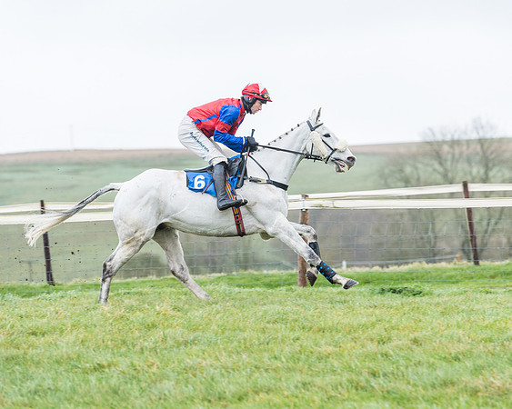 Race 5 - Jockey Club and ROR veteran Horse conditions Race. Division 1 - (22 of 171)