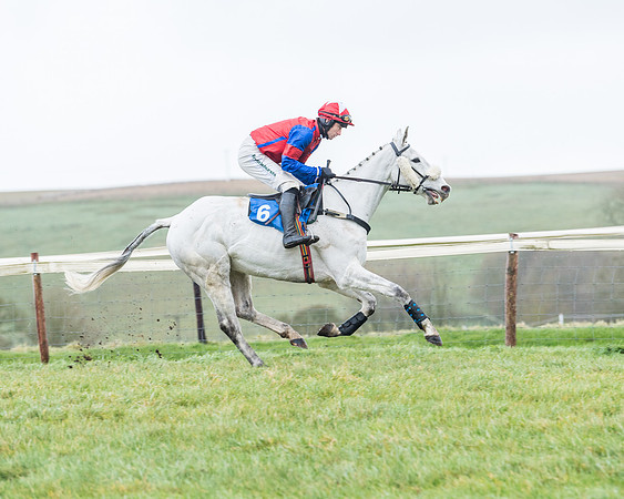 Race 5 - Jockey Club and ROR veteran Horse conditions Race. Division 1 - (21 of 171)
