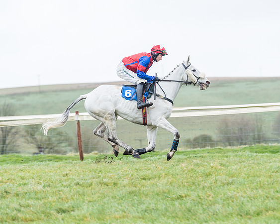 Race 5 - Jockey Club and ROR veteran Horse conditions Race. Division 1 - (20 of 171)