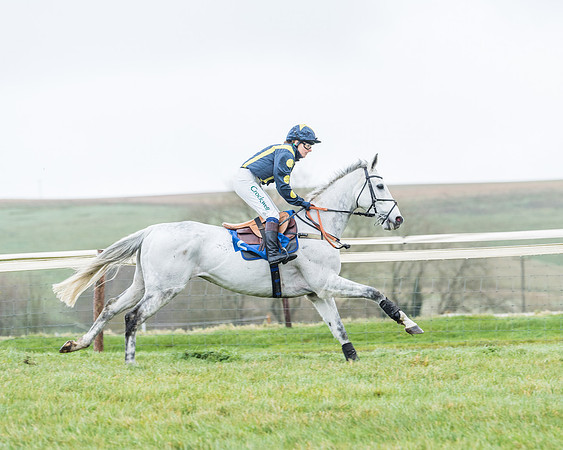 Race 5 - Jockey Club and ROR veteran Horse conditions Race. Division 1 - (19 of 171)