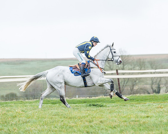 Race 5 - Jockey Club and ROR veteran Horse conditions Race. Division 1 - (18 of 171)