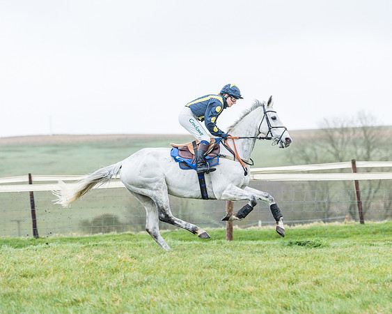 Race 5 - Jockey Club and ROR veteran Horse conditions Race. Division 1 - (17 of 171)