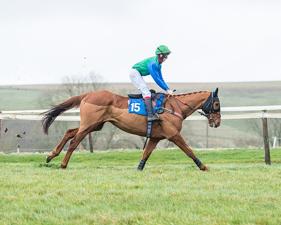 Race 5 - Jockey Club and ROR veteran Horse conditions Race. Division 1 - (16 of 171)