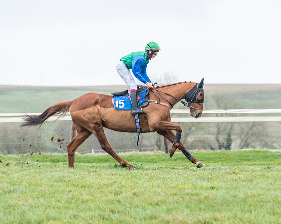 Race 5 - Jockey Club and ROR veteran Horse conditions Race. Division 1 - (14 of 171)