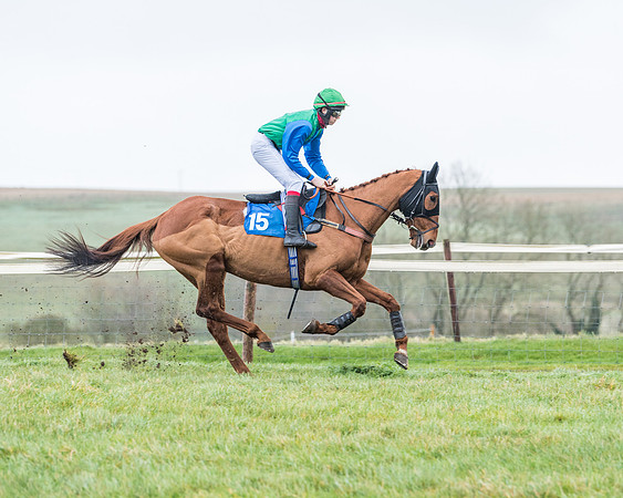 Race 5 - Jockey Club and ROR veteran Horse conditions Race. Division 1 - (13 of 171)
