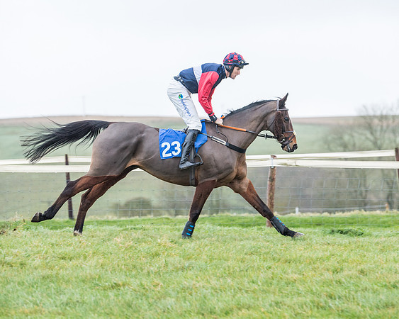 Race 5 - Jockey Club and ROR veteran Horse conditions Race. Division 1 - (11 of 171)