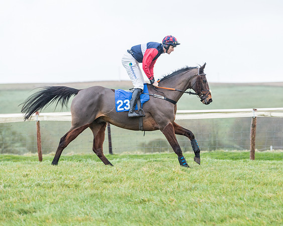Race 5 - Jockey Club and ROR veteran Horse conditions Race. Division 1 - (10 of 171)