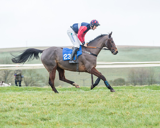Race 5 - Jockey Club and ROR veteran Horse conditions Race. Division 1 - (9 of 171)