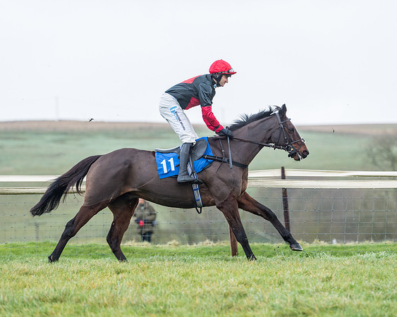 Race 5 - Jockey Club and ROR veteran Horse conditions Race. Division 1 - (7 of 171)