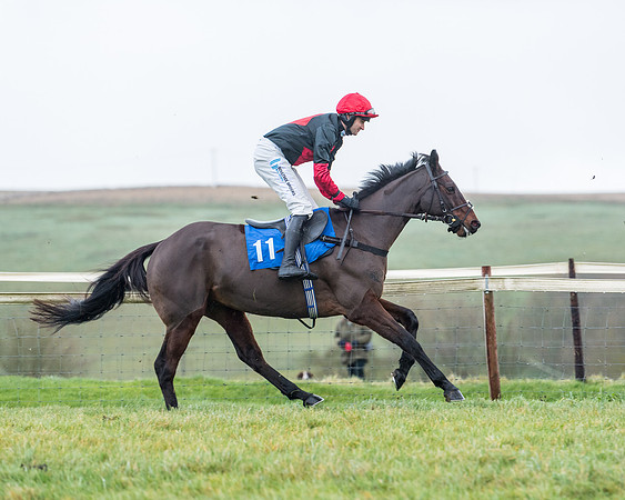 Race 5 - Jockey Club and ROR veteran Horse conditions Race. Division 1 - (6 of 171)