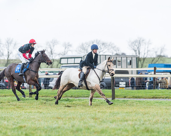 Race 5 - Jockey Club and ROR veteran Horse conditions Race. Division 1 - (4 of 171)