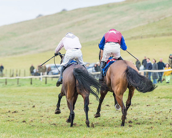 Race 7 - Alan King Racing Mixed Open (154 of 246)