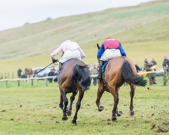 Race 7 - Alan King Racing Mixed Open (152 of 246)