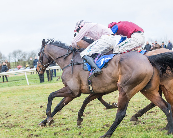 Race 7 - Alan King Racing Mixed Open (144 of 246)