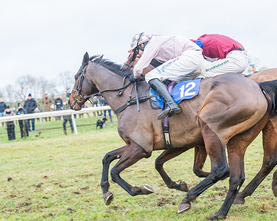 Race 7 - Alan King Racing Mixed Open (143 of 246)