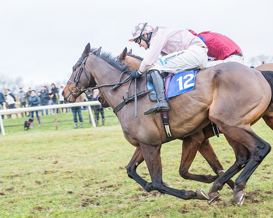 Race 7 - Alan King Racing Mixed Open (142 of 246)