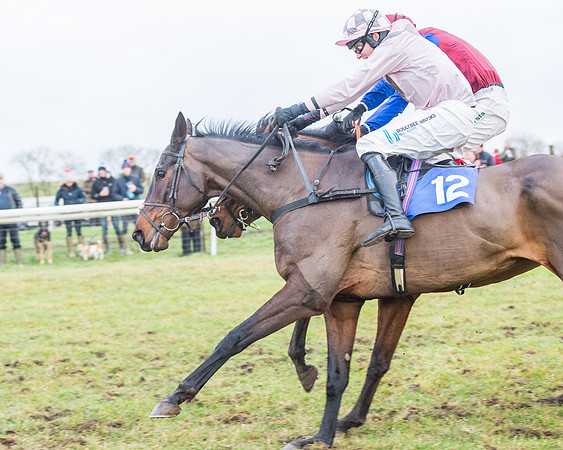 Race 7 - Alan King Racing Mixed Open (139 of 246)