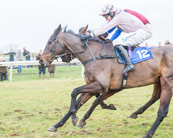 Race 7 - Alan King Racing Mixed Open (138 of 246)