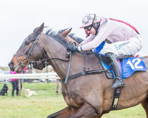 Race 7 - Alan King Racing Mixed Open (137 of 246)