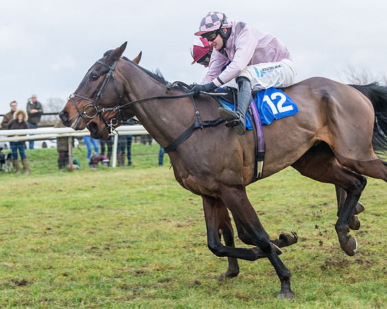 Race 7 - Alan King Racing Mixed Open (135 of 246)