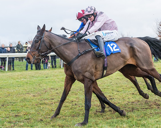 Race 7 - Alan King Racing Mixed Open (134 of 246)