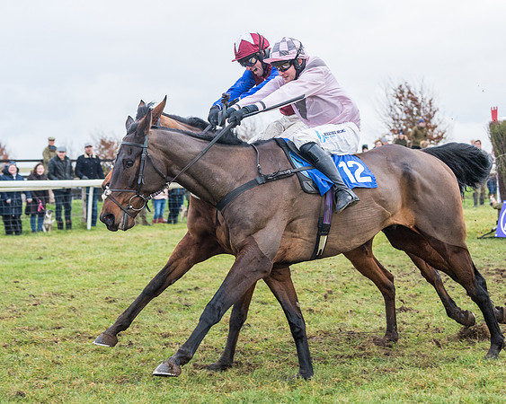 Race 7 - Alan King Racing Mixed Open (133 of 246)